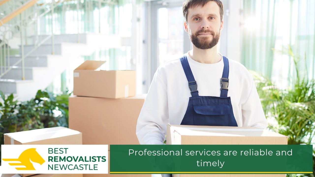 Professional services are reliable and timely