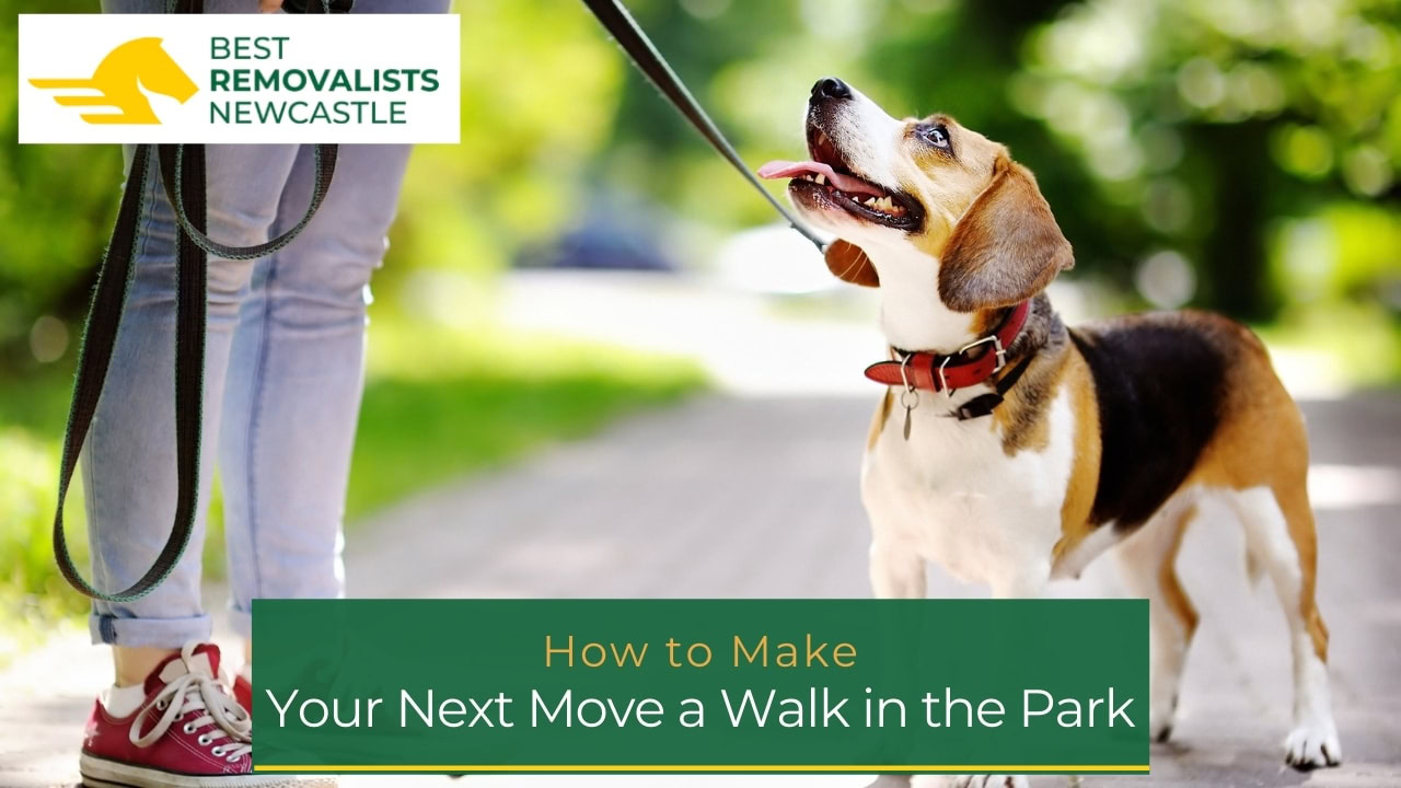 How to Make Your Next Move a Walk in the Park
