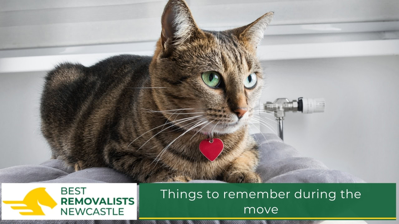 Things to remember during the move