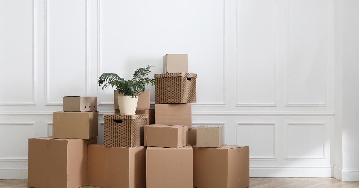 Removals in Coffs Harbour