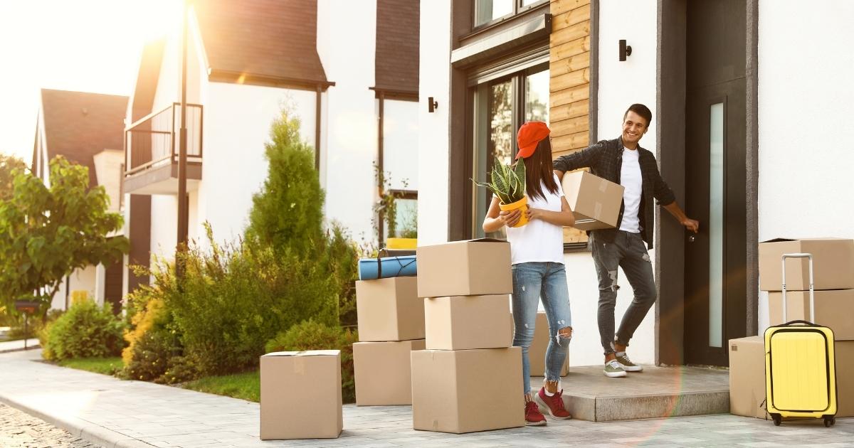 Forster Removals
