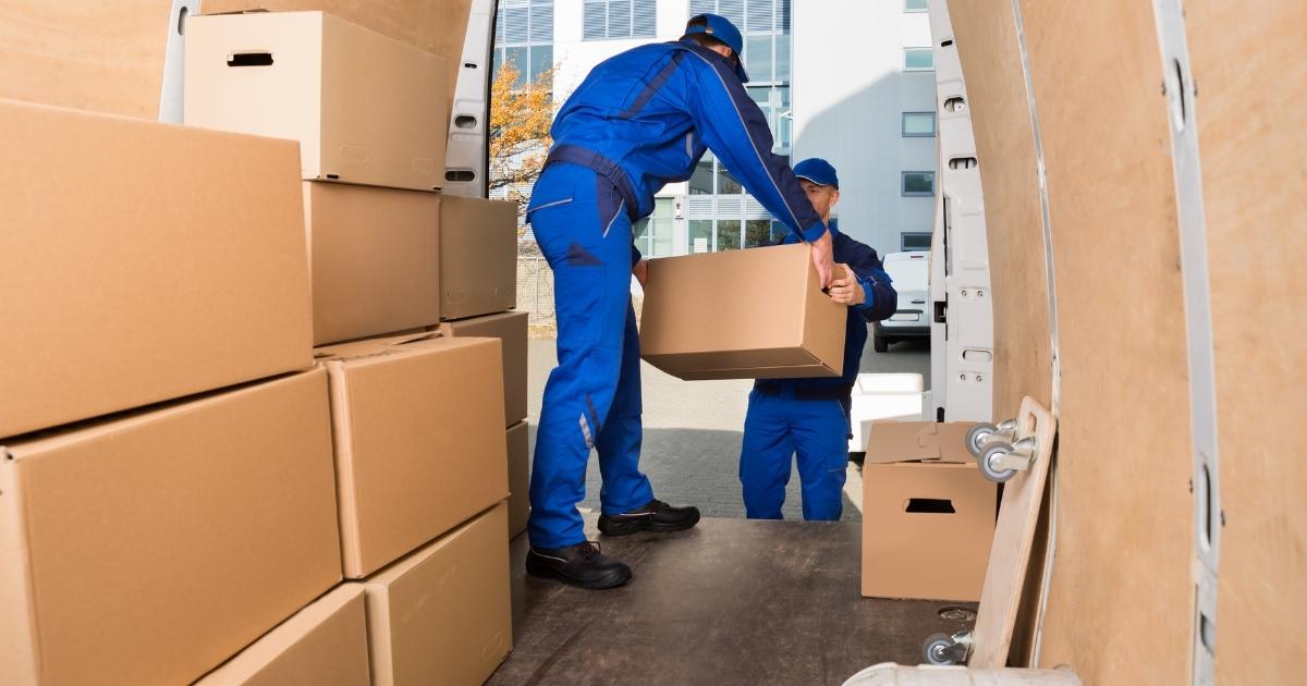 Our Newcastle to Gold Coast services include 2