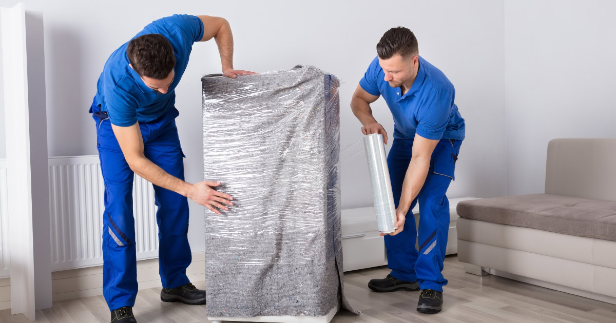 Our Newcastle to Seal Rocks services includes 1