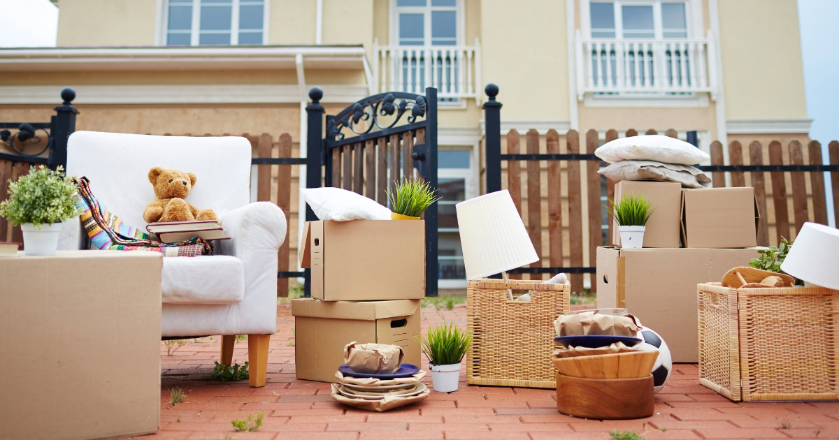 Nelson Bay Removals